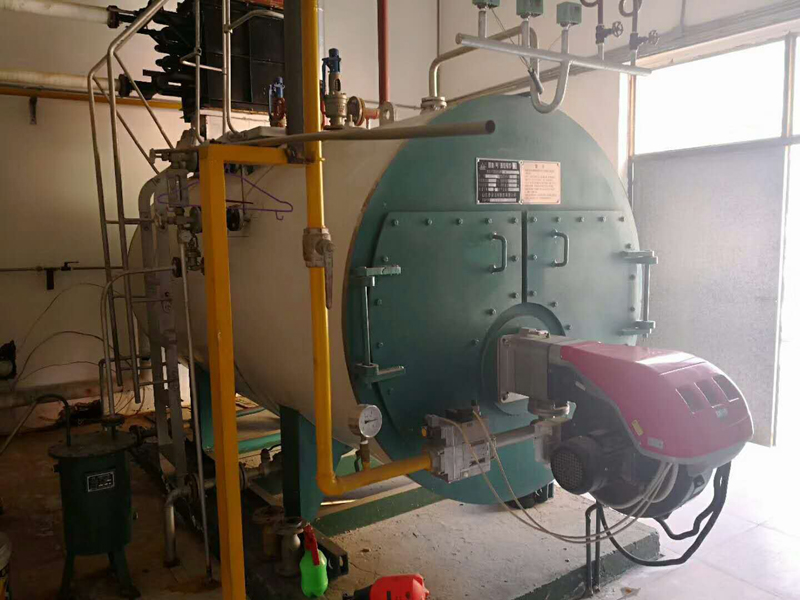 天津合治药业4吨燃气蒸气